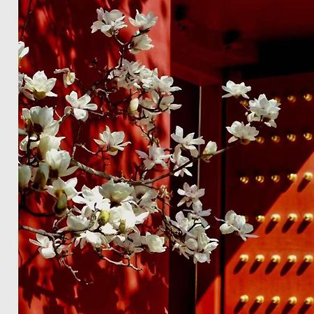 Hotel Cote Cour Deductive Beijing - Quadrangle Close To Tiananmen Square & Forbidden City & Nanluoguxiang, Walk To Wangfujing, English Speaking, Free Wifi, Free Laundry, Free Wonton & Noodles With Tour Ticket Service, Free Selfies With Ancient Costum Kültér fotó
