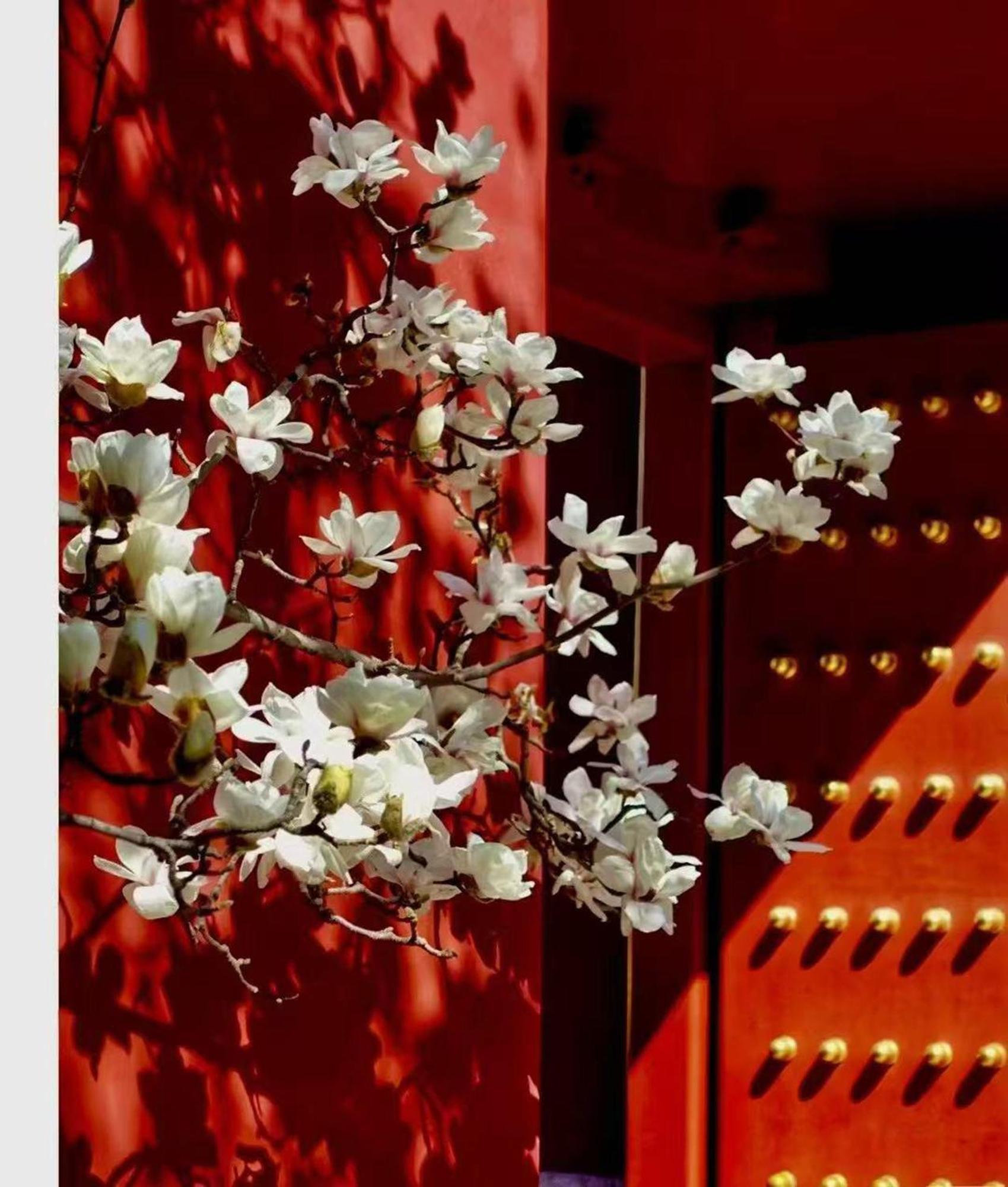 Hotel Cote Cour Deductive Beijing - Quadrangle Close To Tiananmen Square & Forbidden City & Nanluoguxiang, Walk To Wangfujing, English Speaking, Free Wifi, Free Laundry, Free Wonton & Noodles With Tour Ticket Service, Free Selfies With Ancient Costum Kültér fotó